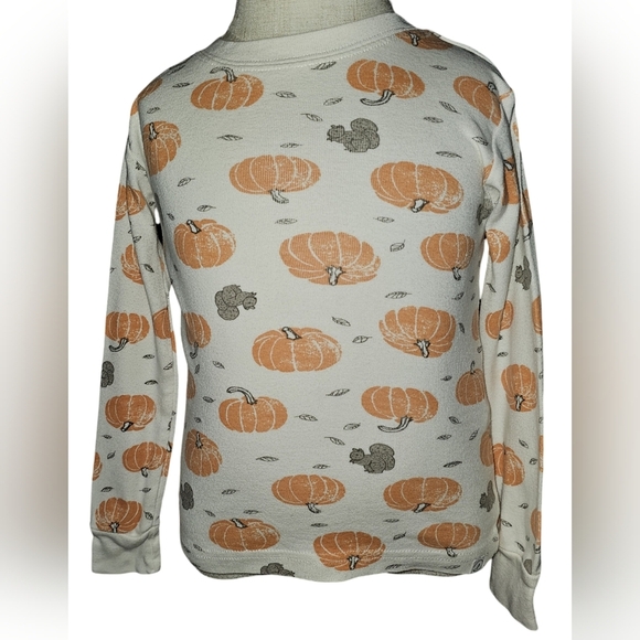 Little Planet by Carter's Boy Girl Organic Cotton PJs 2pc Harvest Pumpkins Sz 3T - Picture 2 of 16